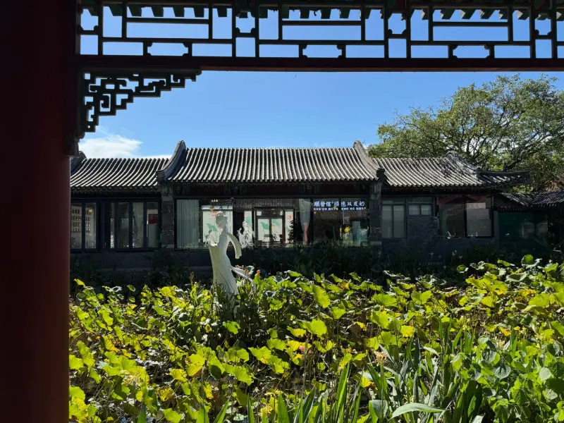 2025年苗木种植行业最新政策动向与产业扶持重点